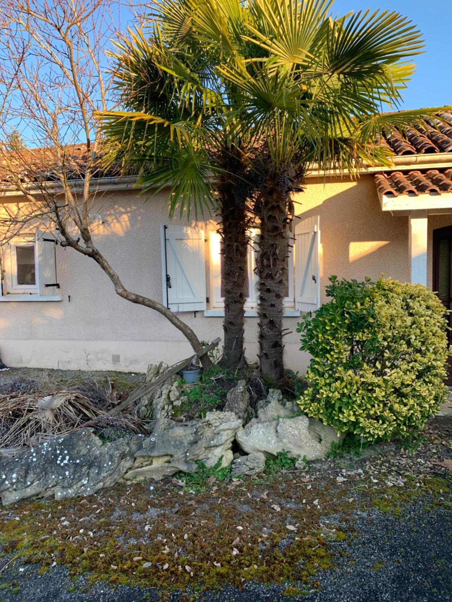 Petite Maison Dans Un Village Du Gers Sabazan Buitenkant foto